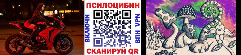 Галлюциногенные грибы Cubensis  Купить  Оса 